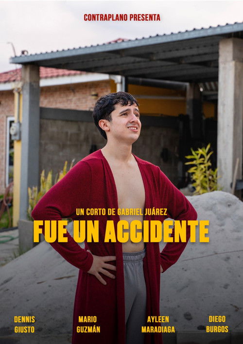 Fue un accidente