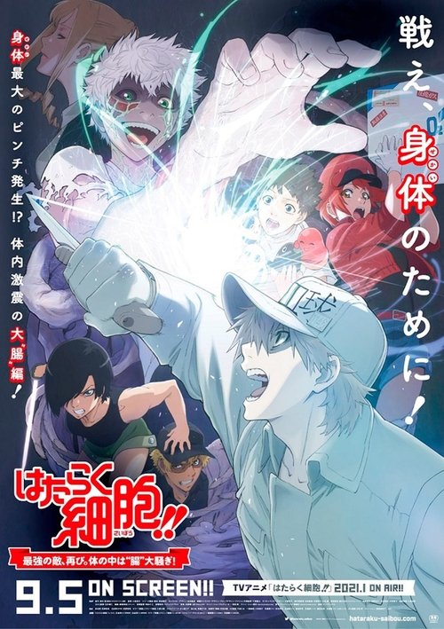 Cells at Work!! The Return of the Strongest Enemy: A Huge Uproar in the Body’s Bowels!