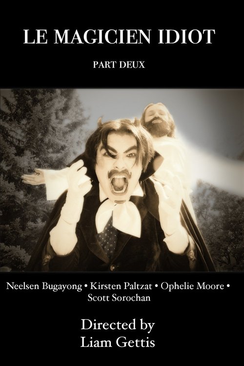 Le Magicien Idiot Part Deux