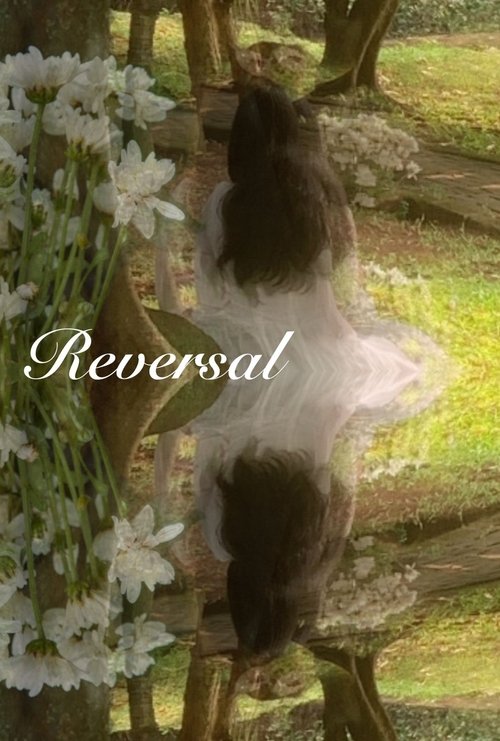 Reversal