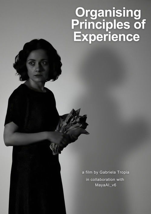 Organising Principles of Experience